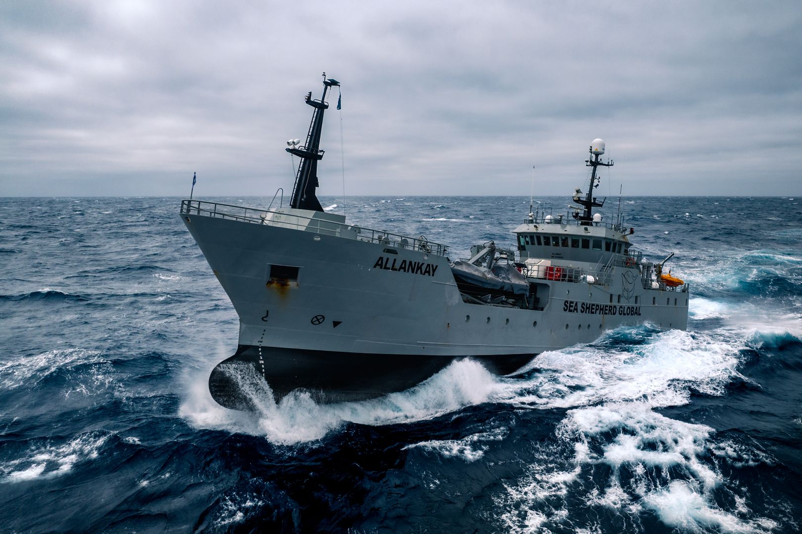 Sea Shepherd Tasmania Allankay