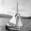 Cadet Dinghy Kiwi